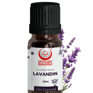 Óleo Essencial Lavandin Grosso