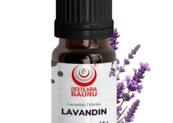 Óleo Essencial Lavandin Grosso